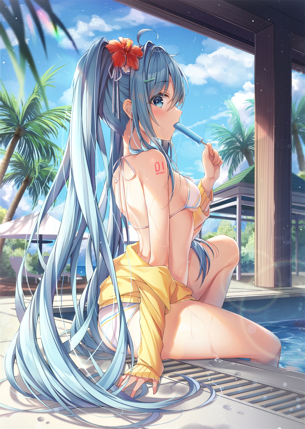[P站画师] Miku超可爱！韩国画师Dangmyo的插画作品 [19P/133MB]
