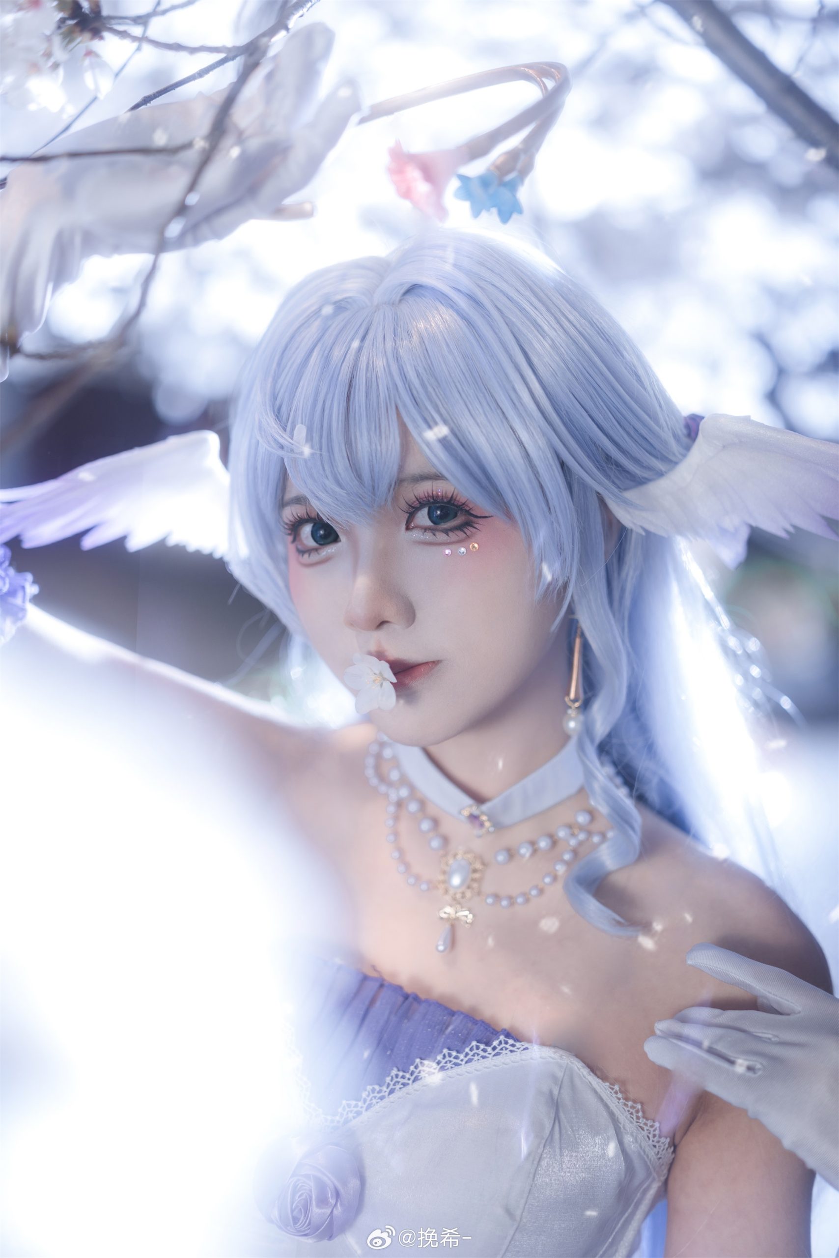 [COSPLAY] 美丽的夜樱和小鸟 星穹铁道 知更鸟@挽希-