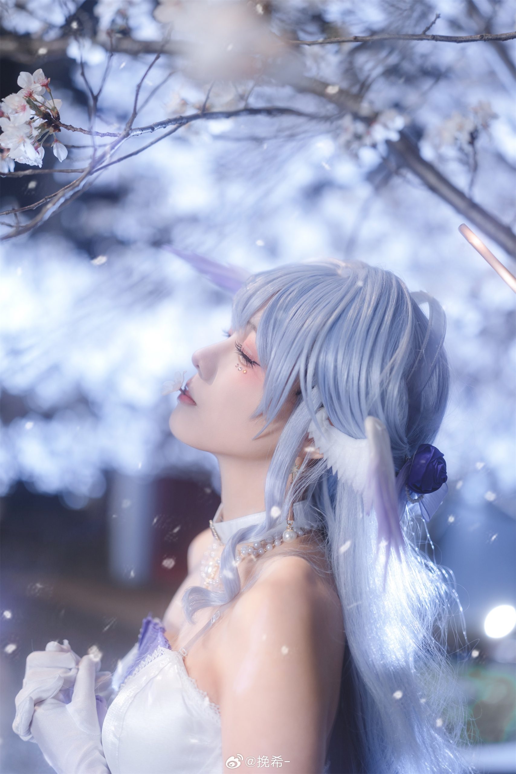 [COSPLAY] 美丽的夜樱和小鸟 星穹铁道 知更鸟@挽希-