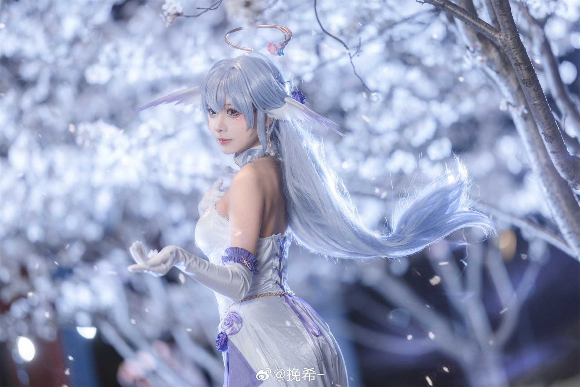 [COSPLAY] 美丽的夜樱和小鸟 星穹铁道 知更鸟@挽希-