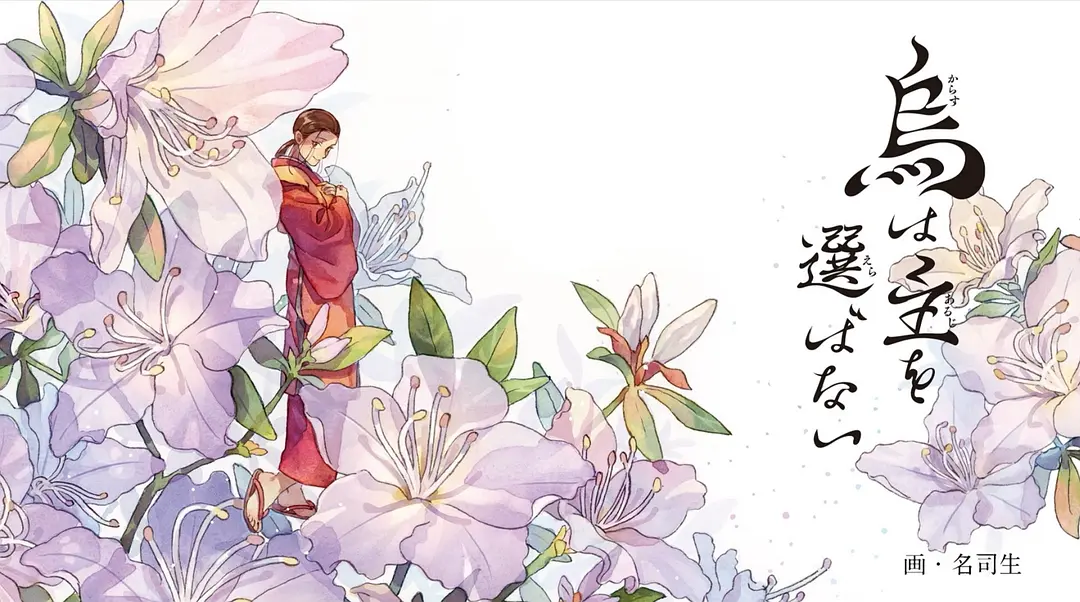 不是神魔鬼怪的宫斗 是会扎心的正剧——《乌鸦不择主》