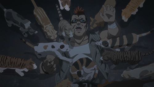 动漫《活尸猫之夜》：一场B级片风格的猫奴狂想曲