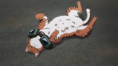 动漫《活尸猫之夜》：一场B级片风格的猫奴狂想曲