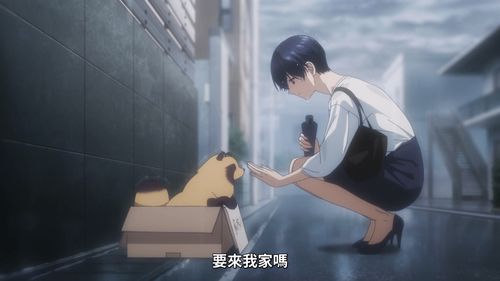 宠物番《和雨·和你》带您感受生命中与爱犬相伴的美好