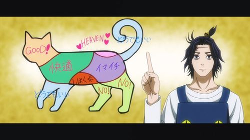 动漫《活尸猫之夜》：一场B级片风格的猫奴狂想曲